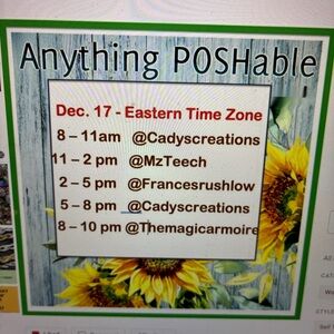 Telling like it is !Anything Poshable flyer / Telling like it is